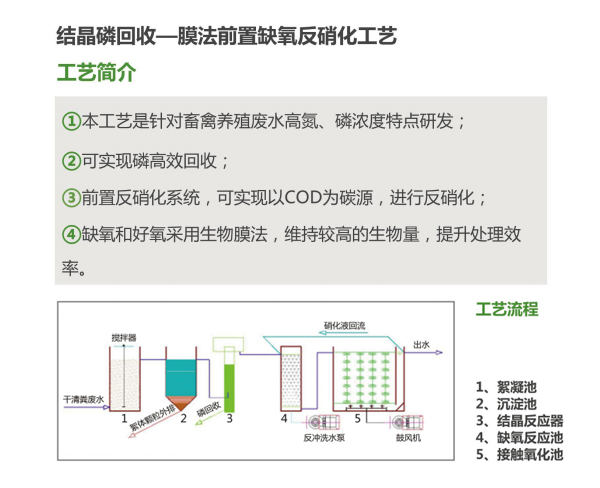 结晶反应器1.jpg